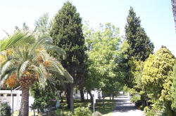 i viali alberati del camping